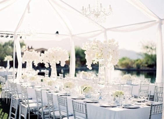 silver tiffany chair to hire for marquee outdoor event