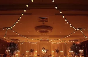 Festoon lights